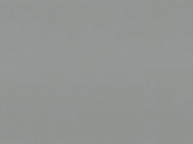 Cool pale grey faux leather with a fine, softly pebbled surface