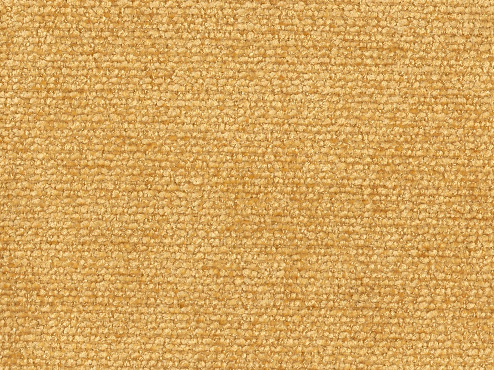 Close-up of honey-gold chenille with nubby loops and fine horizontal texture