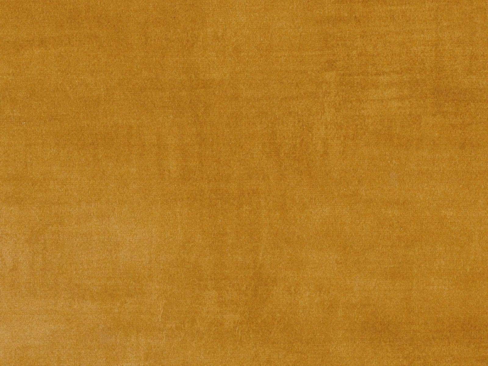 Close-up of warm ochre-gold velvet showing soft nap and subtle directional sheen