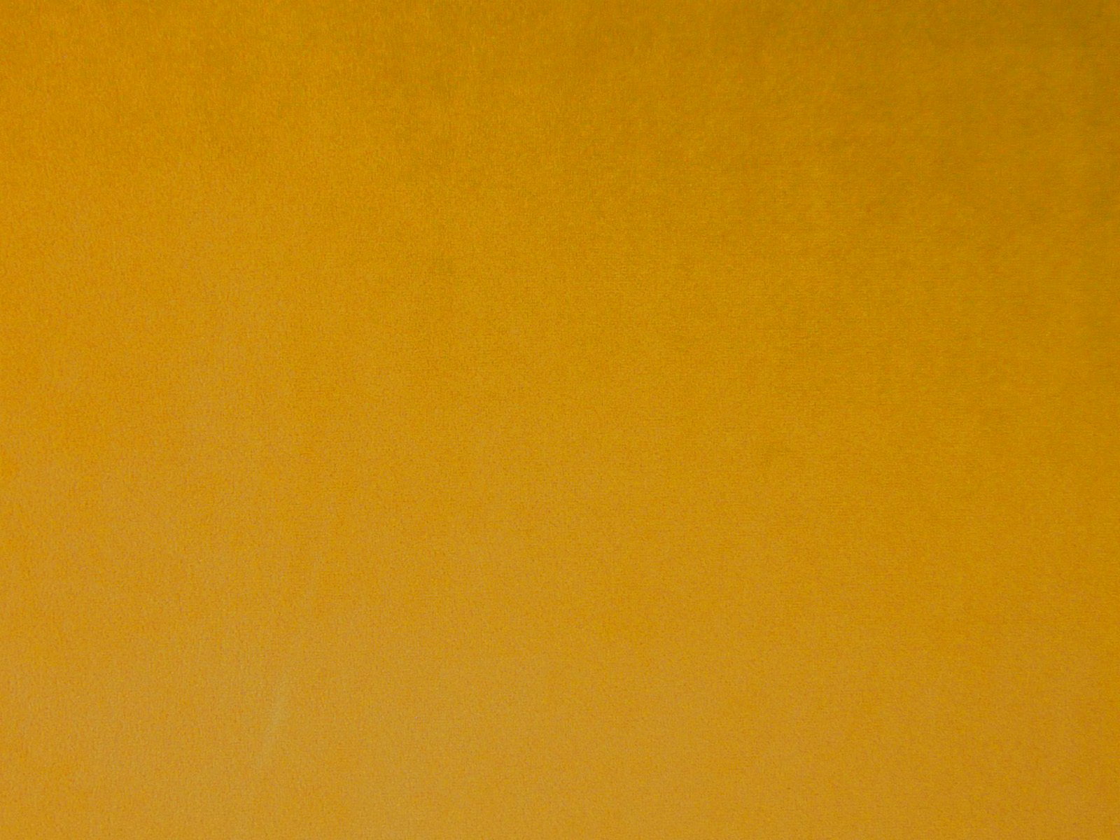 Deep mustard-gold velvet with a plain, softly directional pile