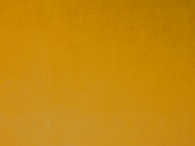 Deep mustard-gold velvet with a plain, softly directional pile