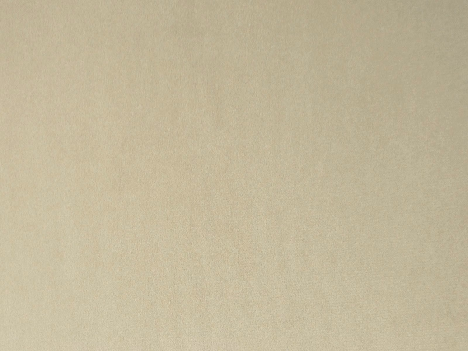 Pale champagne-beige plain velvet showing subtle nap and tonal shading