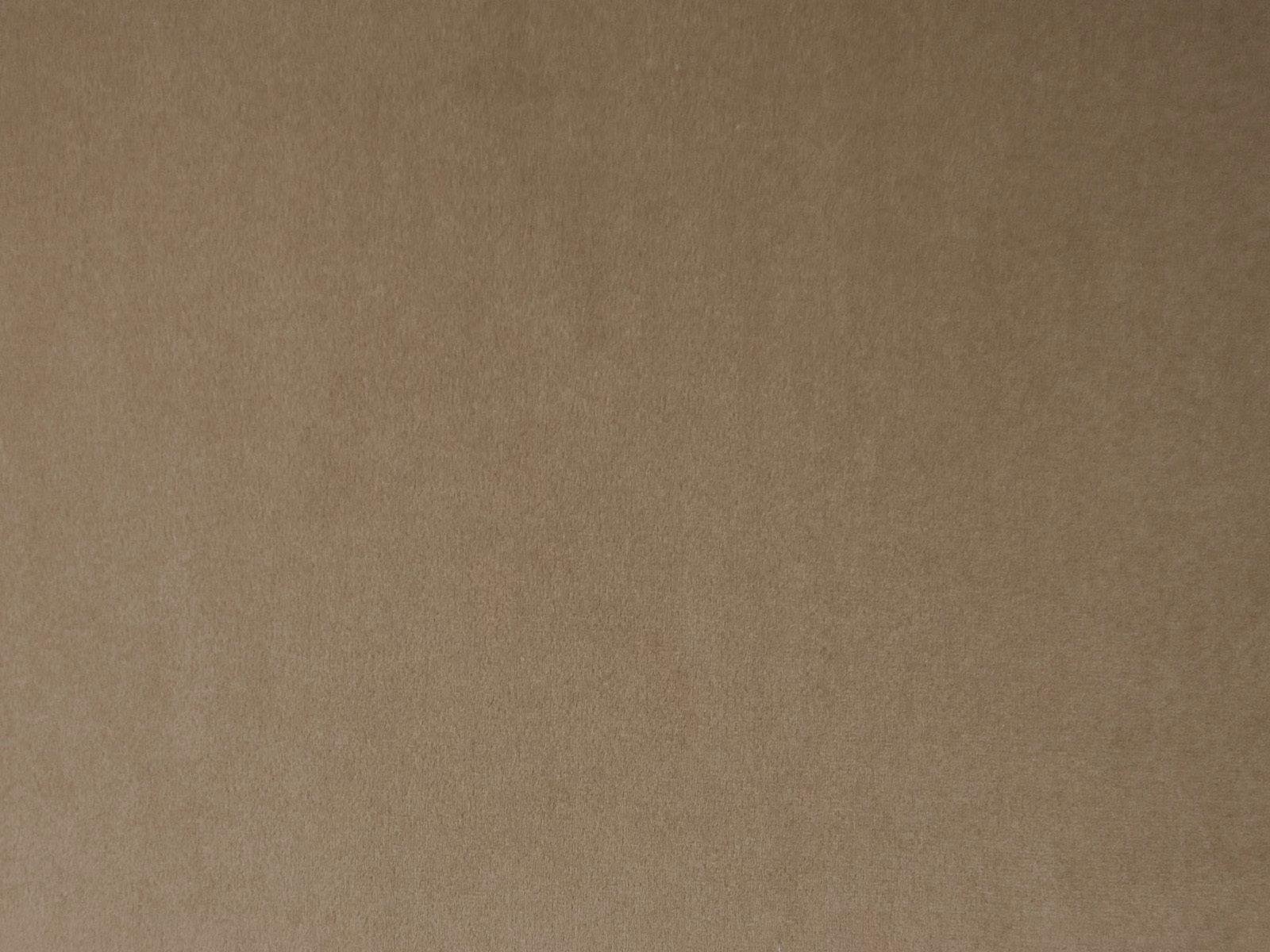 Warm mushroom-taupe velvet with a softly brushed, subtly varied surface