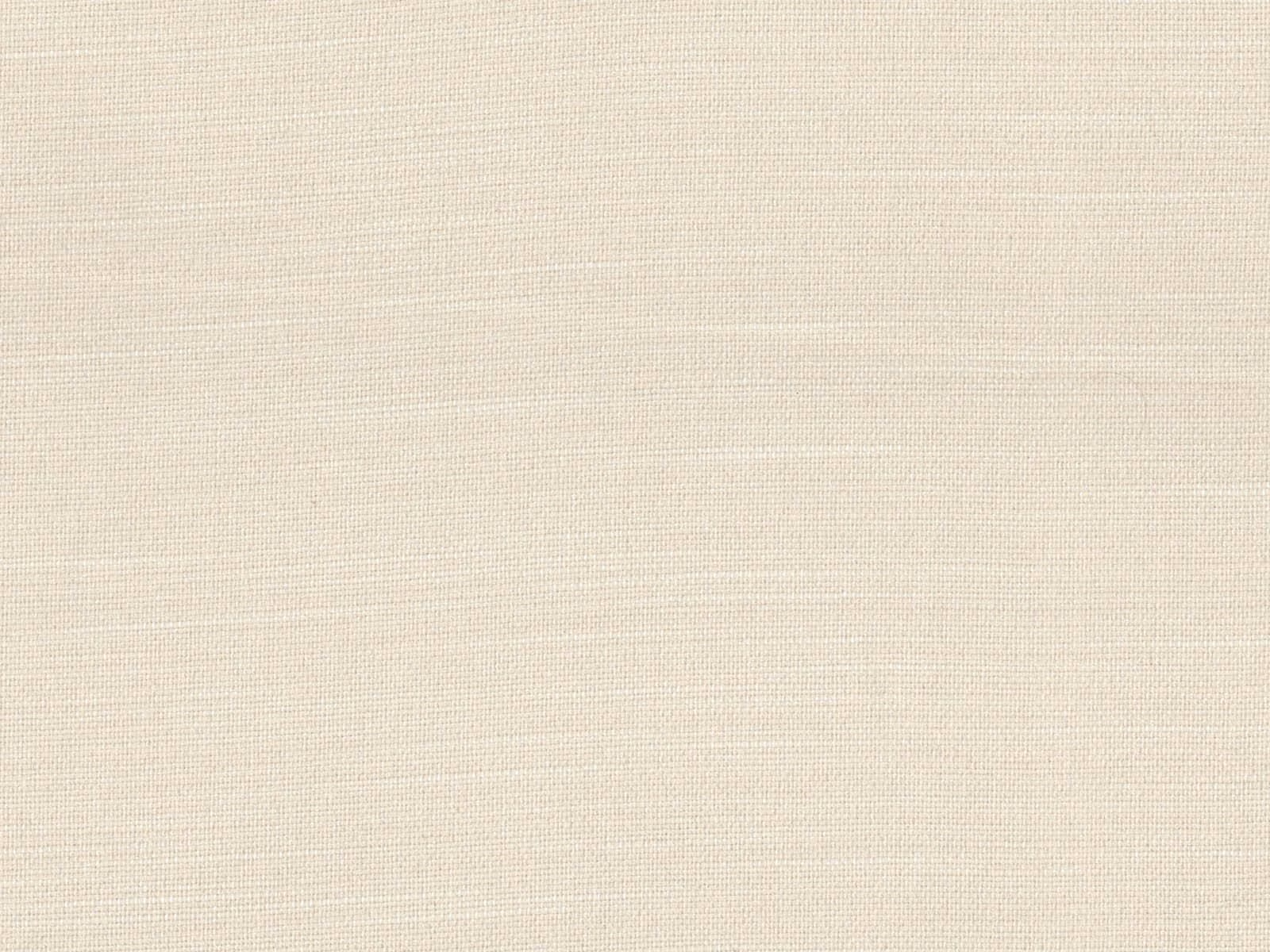 Pale ivory cream flat-weave textile showing fine horizontal and vertical threads