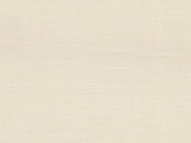 Pale ivory cream flat-weave textile showing fine horizontal and vertical threads