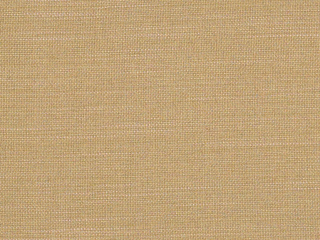 Warm oat-beige flat weave with fine crosshatch texture and subtle tonal slubs