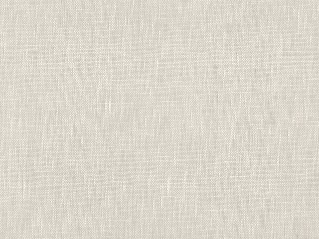 Pale greige flat-weave textile with fine vertical slubs and softly mottled texture