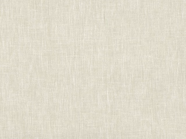 Pale ivory cream flat-weave fabric with subtle irregular woven texture