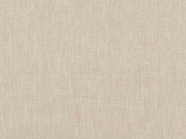 Pale oatmeal beige flat-weave textile with a fine, softly vertical grain