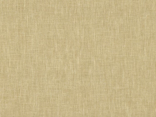 Close-up of pale oatmeal beige flat weave with fine slubbed vertical texture