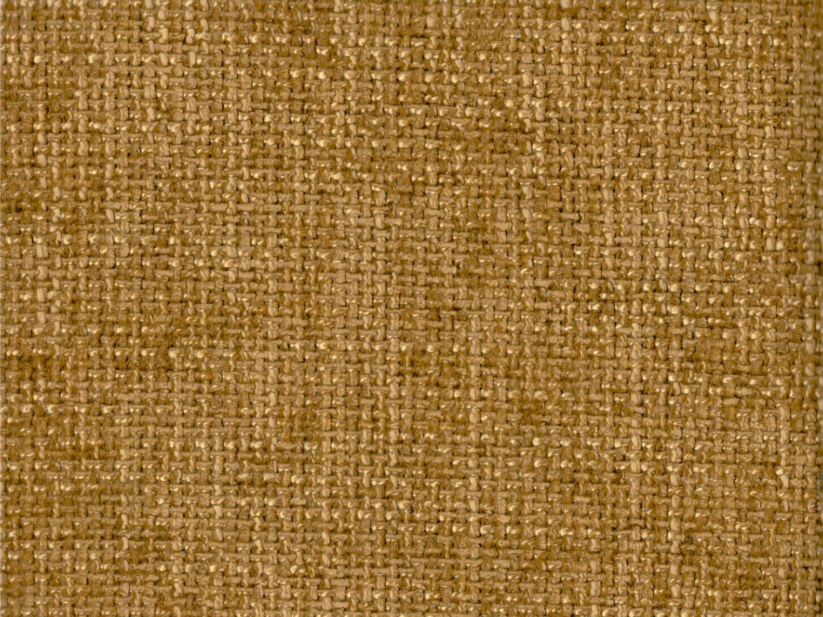 Warm ochre-gold chenille showing a dense, softly mottled interlaced weave