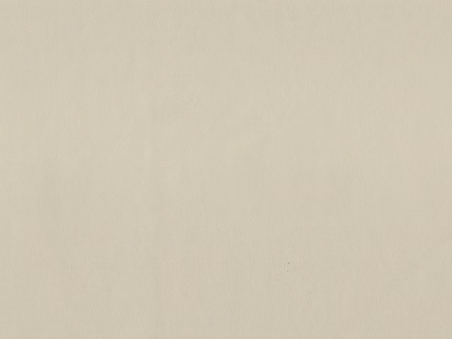 Pale warm ivory faux leather with subtle vertical grain and softly mottled surface