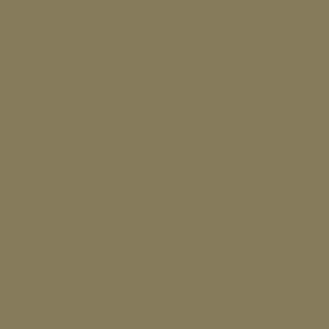 a flat tile of muted olive green paint