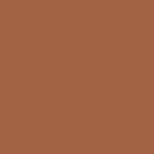 a flat tile of warm terracotta brown paint