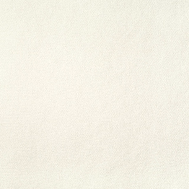 Pale ivory textile with a barely visible, softly brushed woven texture