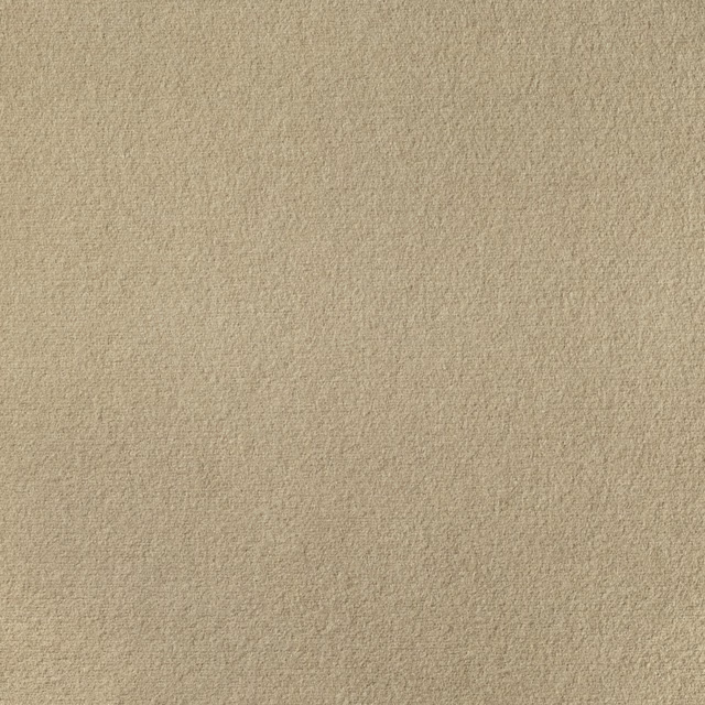 Warm camel-beige plain weave with a fine, softly mottled texture