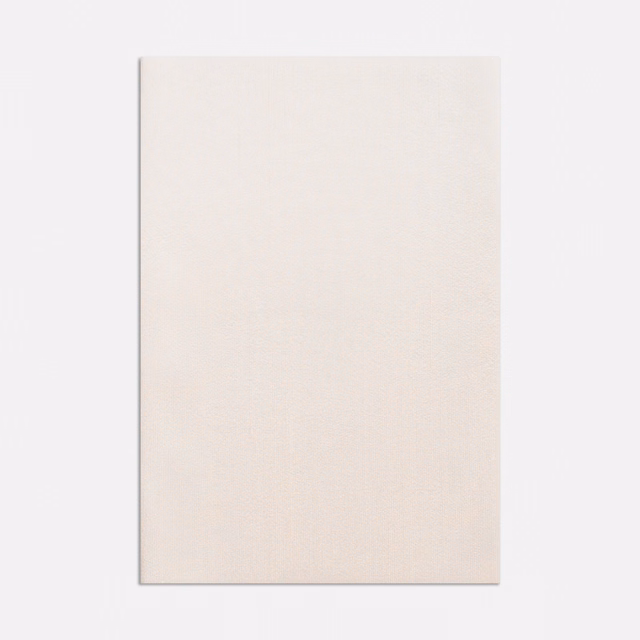 Pale ivory plain weave with a softly warm, near-white surface