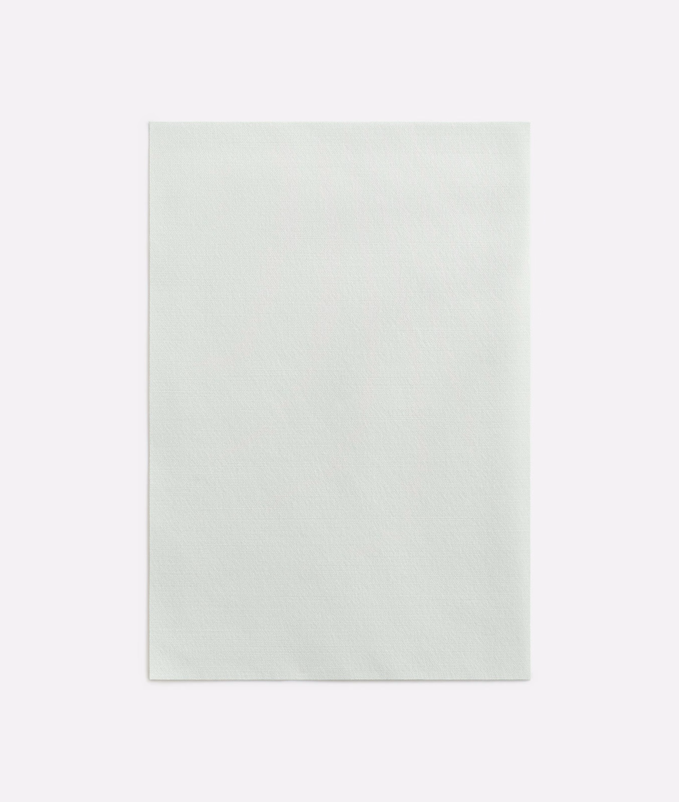 Pale silvery sage curtain fabric with a fine, softly textured surface