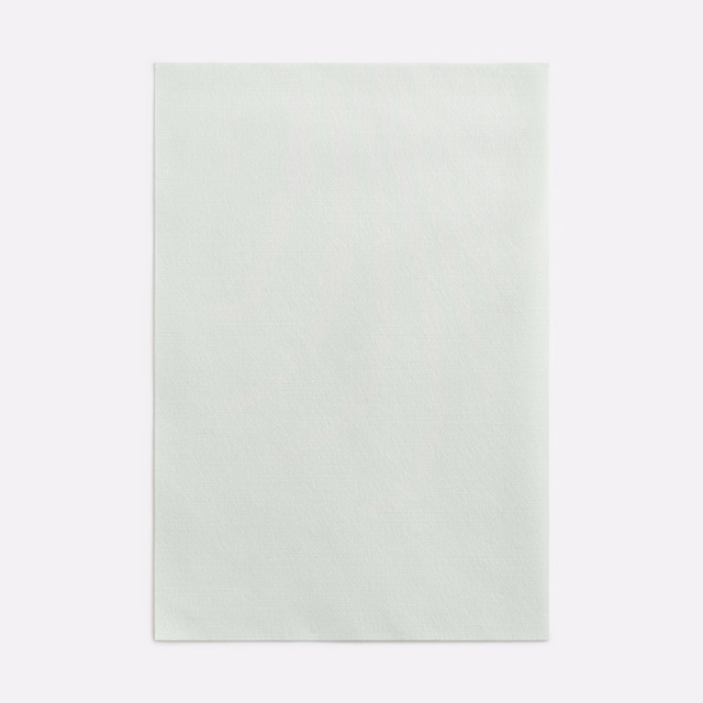 Pale silvery sage curtain fabric with a fine, softly textured surface