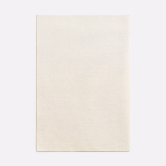 Almost-white ivory swatch with a softly brushed, subtly textured plain surface