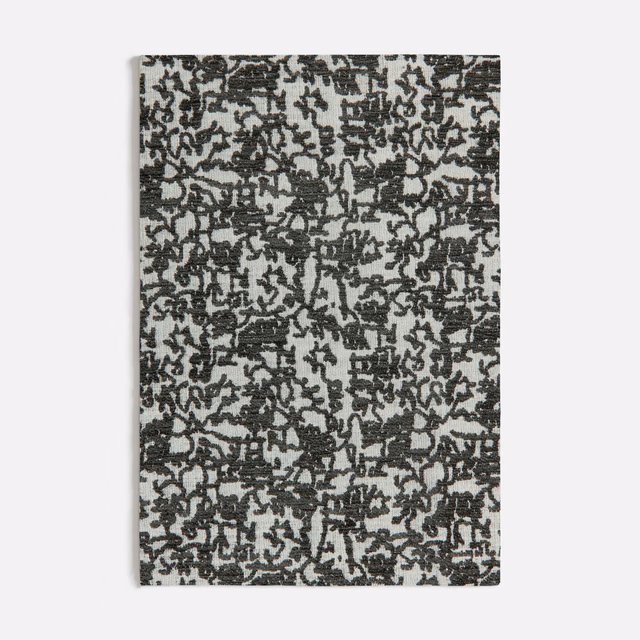 Charcoal black botanical tracery woven across a pale grey textured ground
