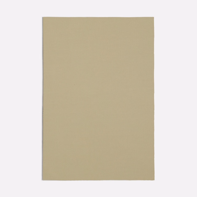 Muted taupe-beige plain woven fabric swatch with a softly matte surface