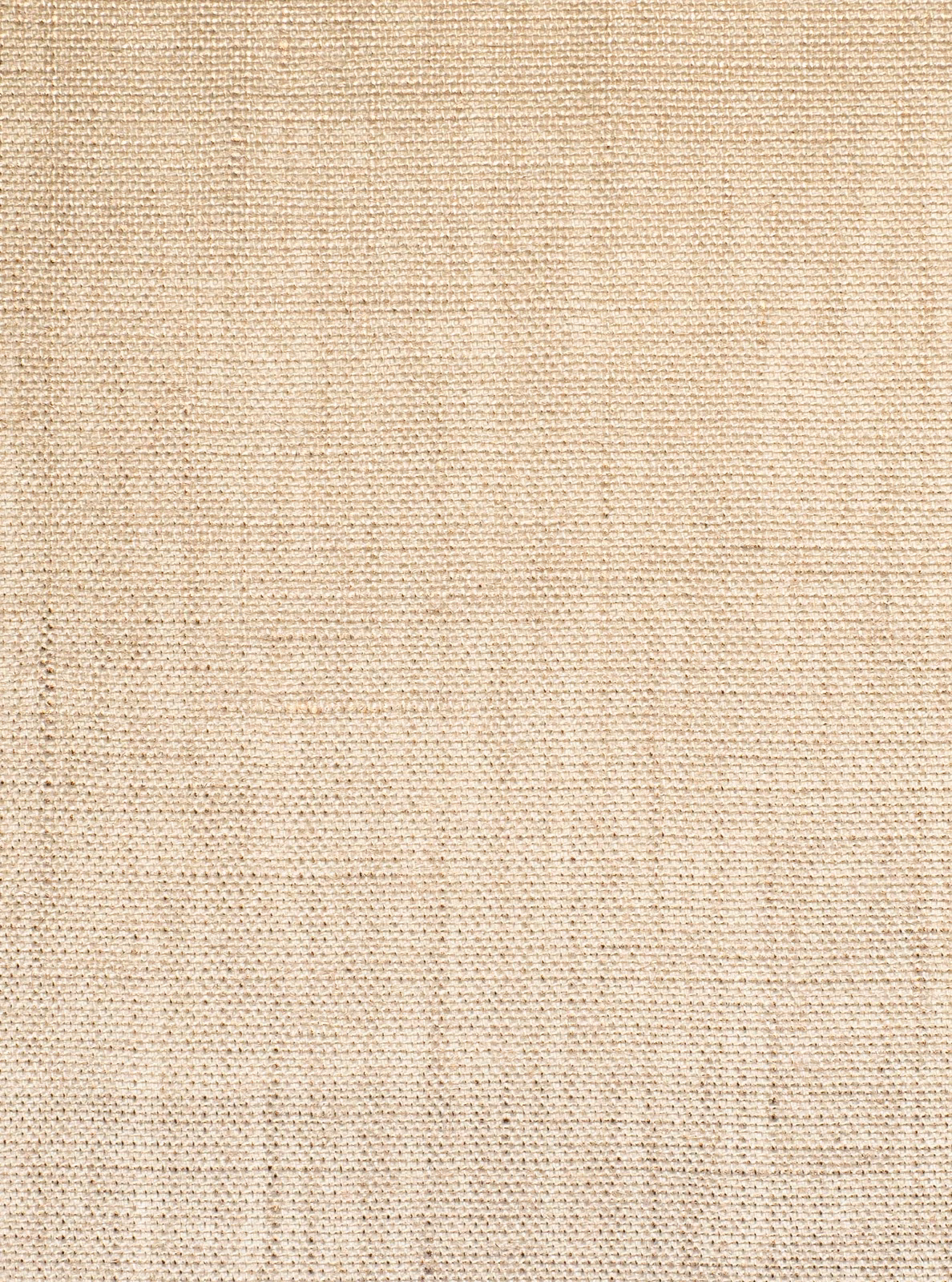 Pale cream Alba fabric with a fine irregular woven surface and subtle beige flecks