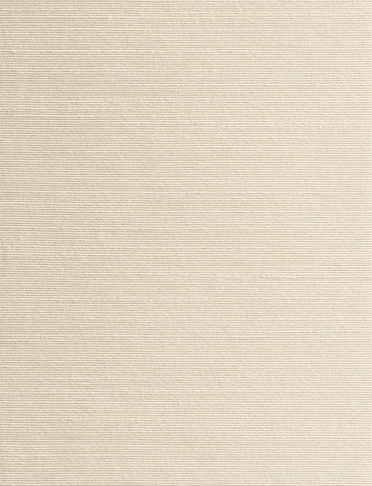 Pale pearl-ivory fabric with a fine, closely spaced horizontal rib