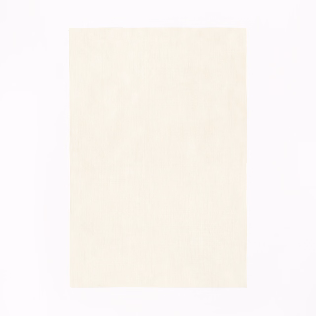 Pale ivory fabric swatch with subtle vertical woven texture and softly creamy shading
