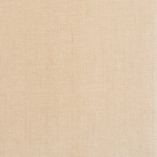 Close view of warm beige plain weave with fine horizontal and vertical texture