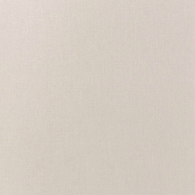 Pale nacre cream fabric with a fine woven texture and soft reflective glint