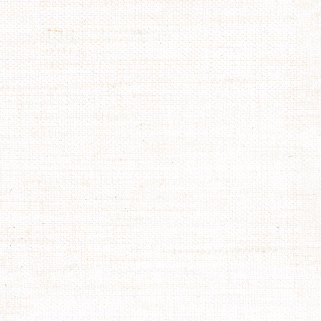 Chalky ivory textile with a fine, irregular canvas-like woven surface