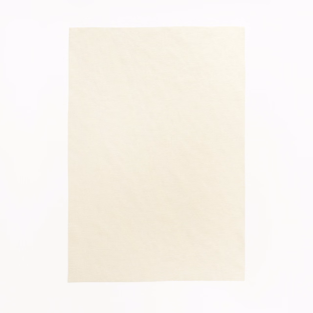 Pale warm ivory swatch with a faintly mottled, softly textured surface