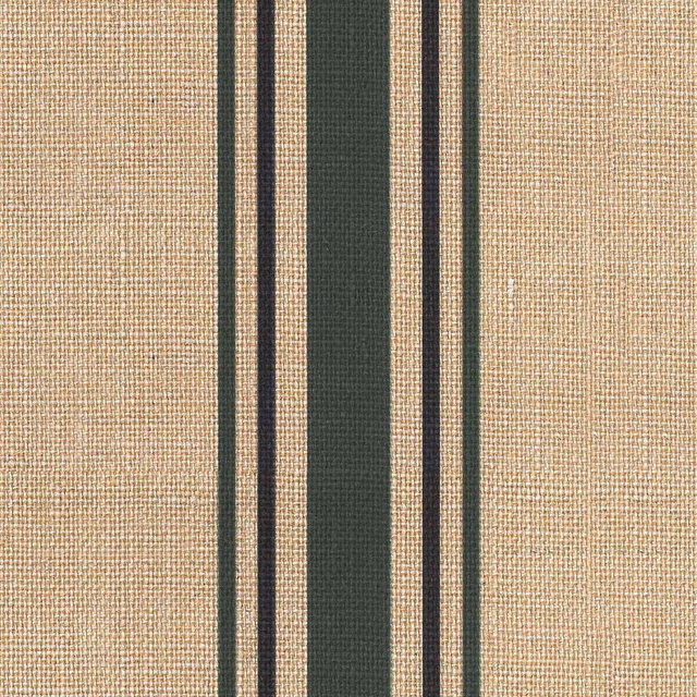 Beige textile swatch with broad forest-green stripe and slim dark lines