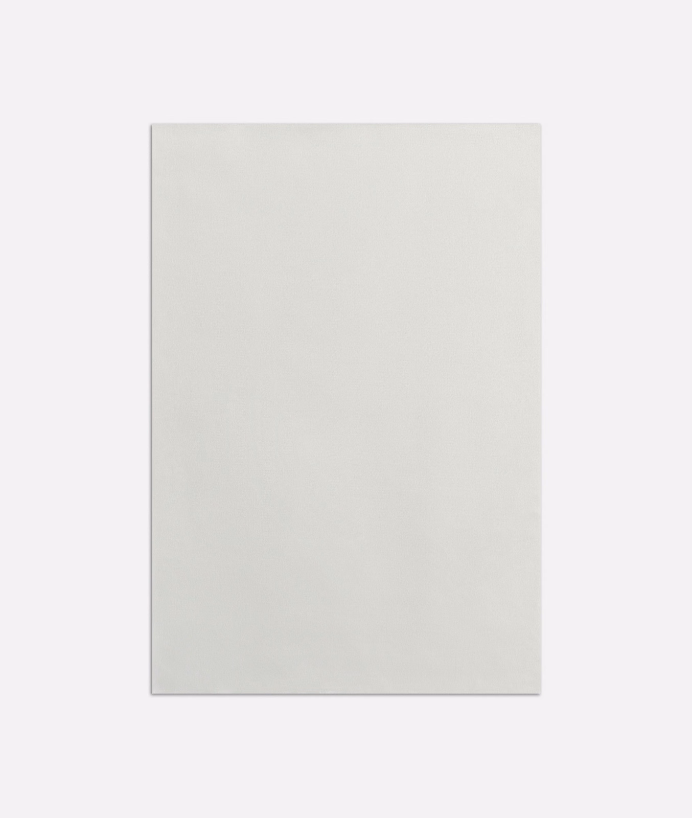 Pale silver-white satin swatch with a smooth, softly reflective surface
