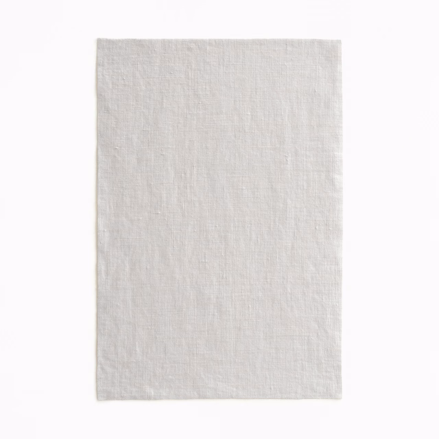 Pale silver-grey sheer fabric swatch showing a fine irregular woven texture