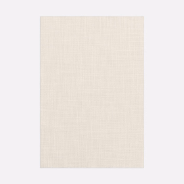 Pale ivory sheer with a delicate crossweave visible across the swatch
