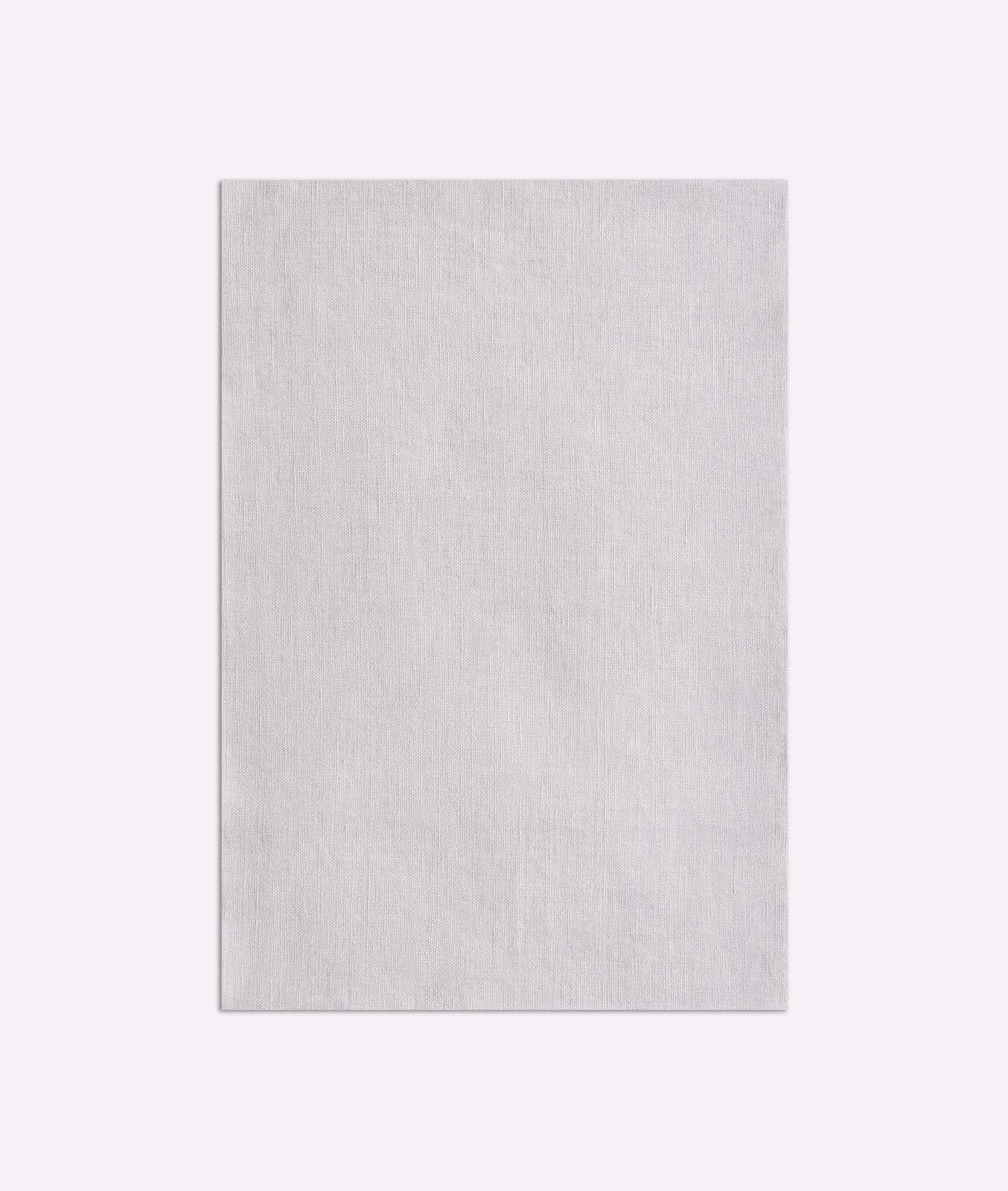 Cool pale grey sheer textile with a fine, subtly irregular linen weave