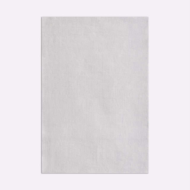 Cool pale grey sheer textile with a fine, subtly irregular linen weave