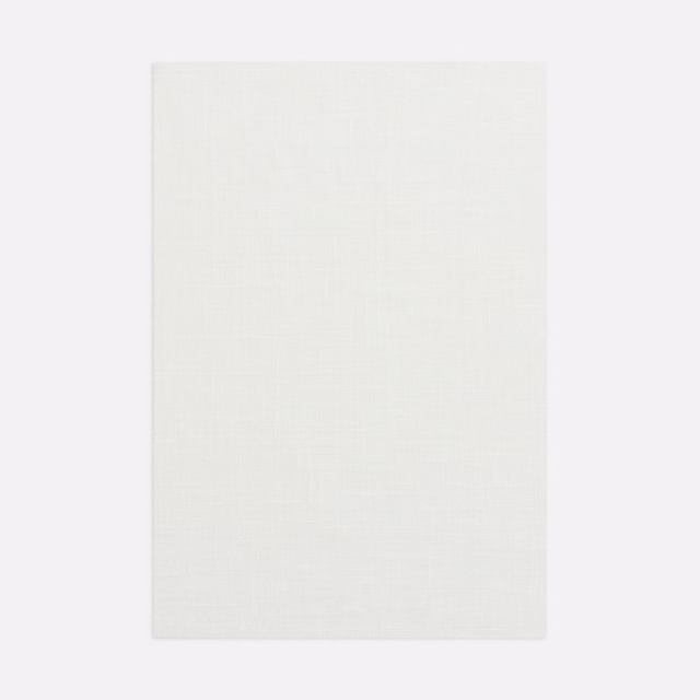 Pale ivory sheer fabric with a barely visible fine woven grid texture.