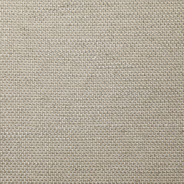 Pale pearl-greige Sinequanon weave with tiny flecks and a softly textured surface