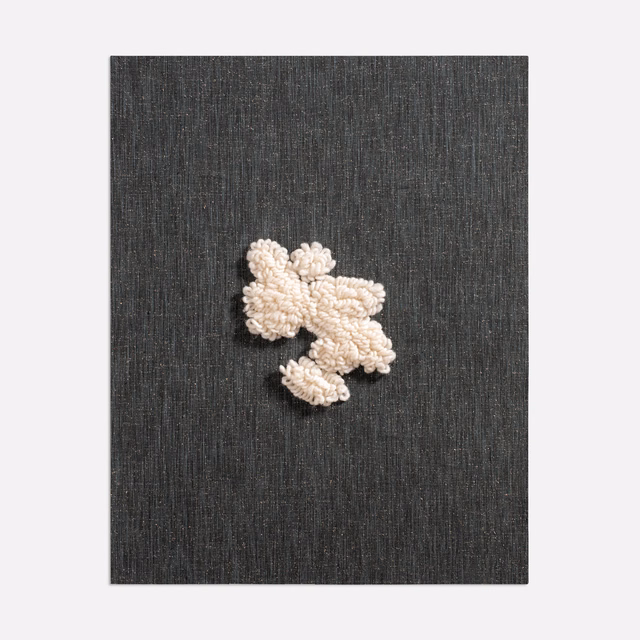 Charcoal-black woven ground with raised ivory abstract floral motif