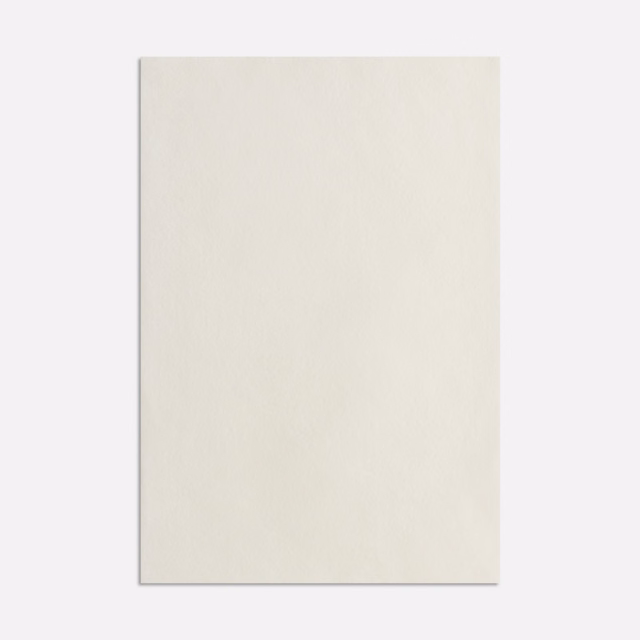 Pale ivory magnolia velvet swatch with a subtle brushed nap