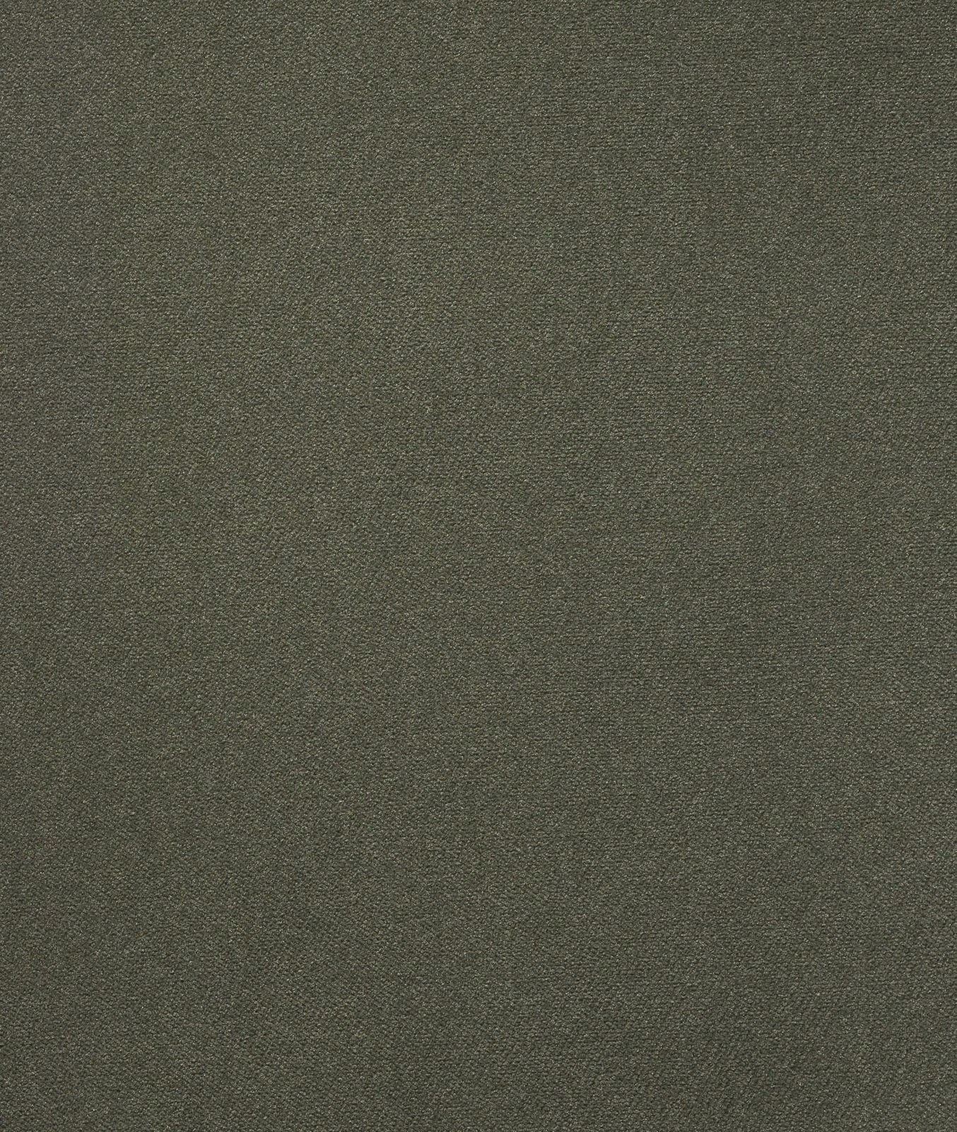 Muted lichen-olive velvet showing a fine, softly mottled green pile.