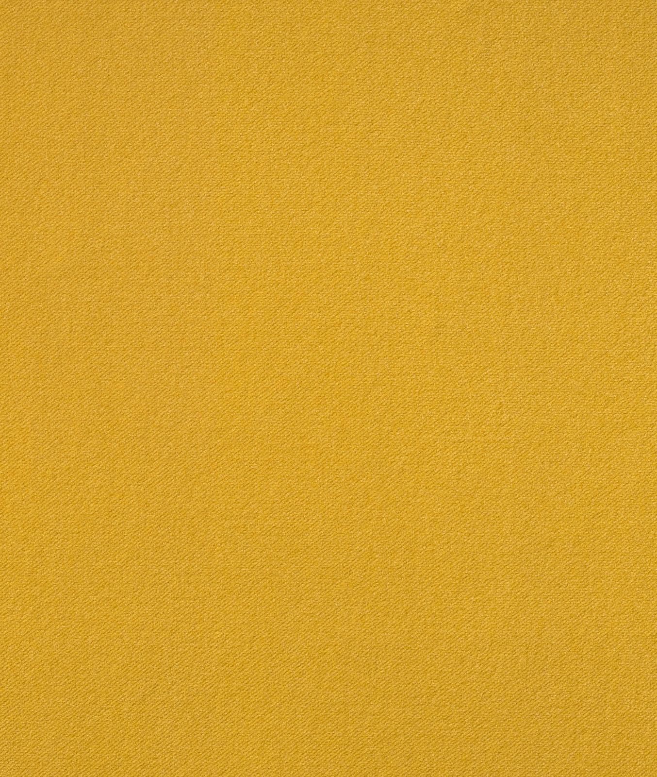 Close-up of plain saturated ochre-yellow velvet with a fine directional texture