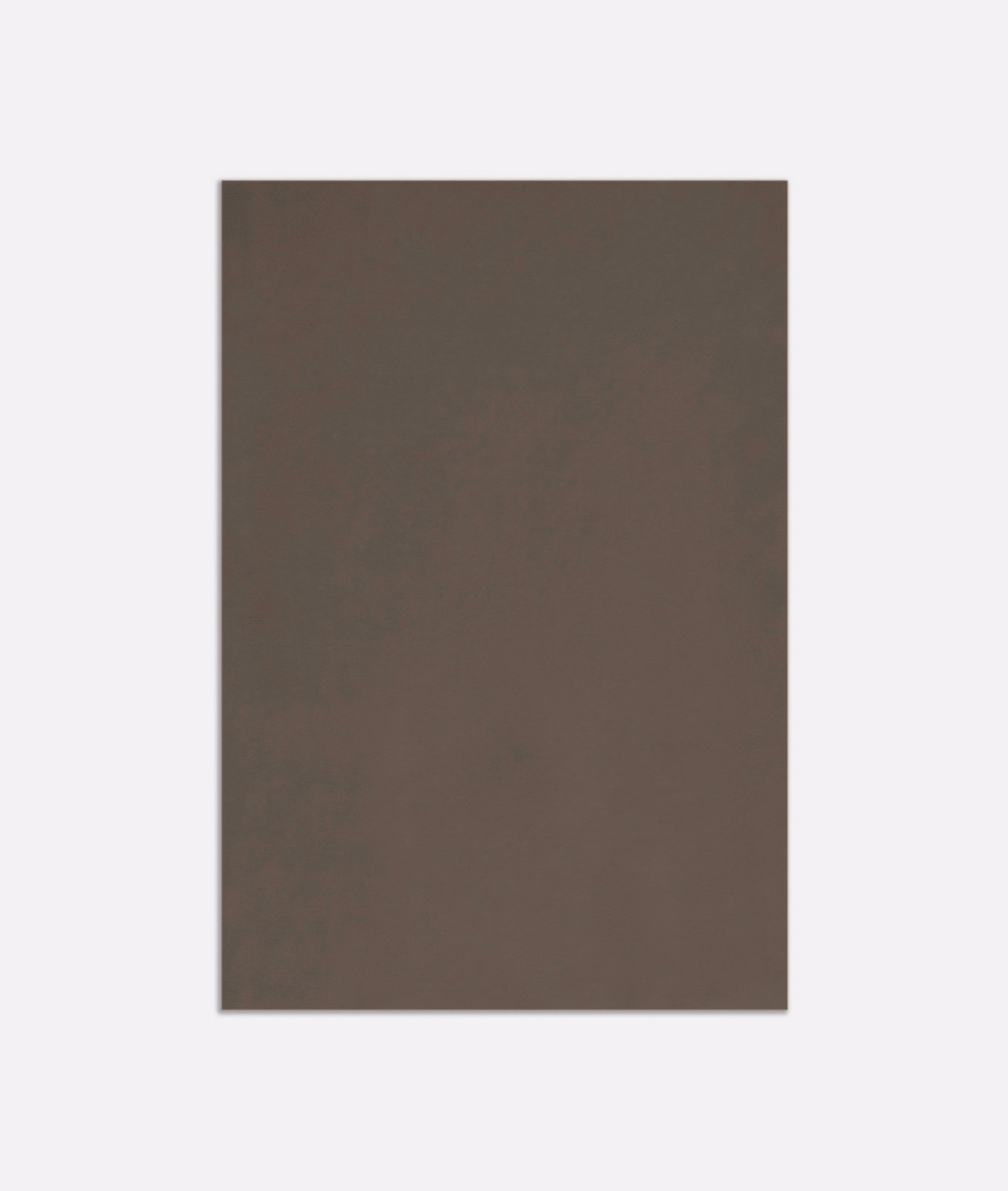 Deep clay-taupe velvet swatch with a plain, subtly light-catching surface