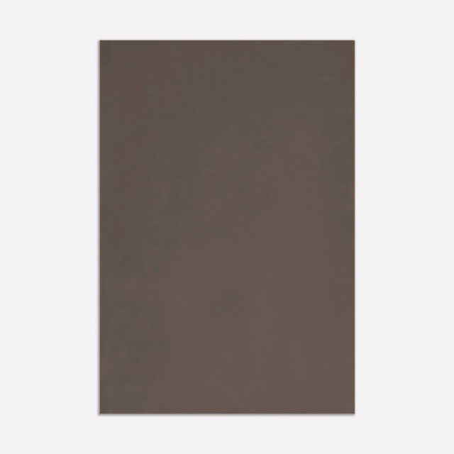 Deep clay-taupe velvet swatch with a plain, subtly light-catching surface