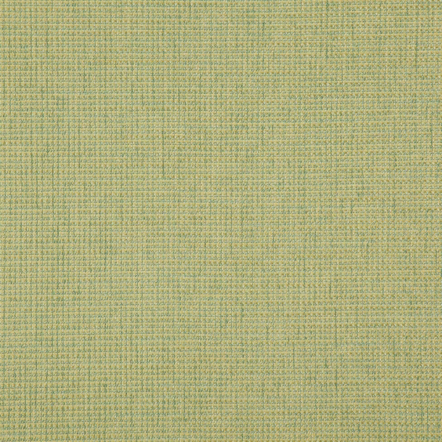 Linghaw Grass fabric