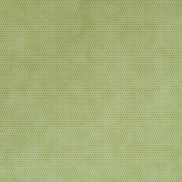 Iribe Pistachio fabric