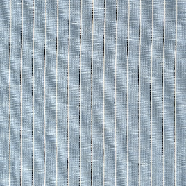 Ravoire Denim fabric